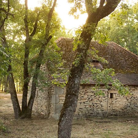 Le Bois De Faral Le Bastit Exterior foto