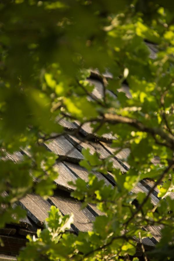 Le Bois De Faral Le Bastit Exterior foto
