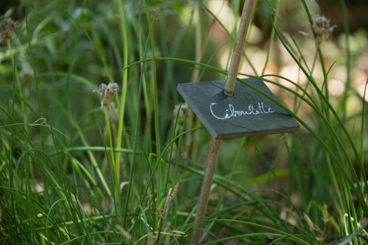 Le Bois De Faral Le Bastit Exterior foto